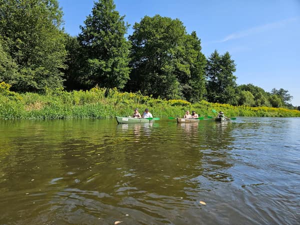 Trzy kajaki z załogą płynące po rzece Tanew w tle brzegi pokryte drzewami