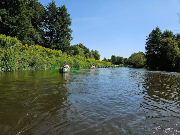 Kajaki płynące przy brzegu rzeki Tanew