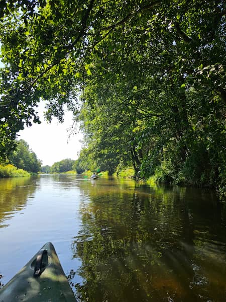 Spływ kajkowy po rzece Tanew pod drzewem