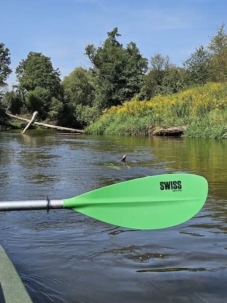 Wiosło na tle rzeki Tanew i jej brzegów